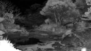 Still 2 from this detection