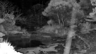 Still 3 from this detection
