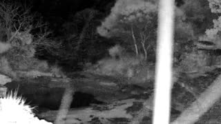 Still 1 from this detection