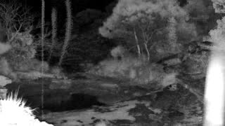 Still 2 from this detection