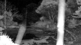 Still 2 from this detection