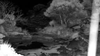Still 1 from this detection