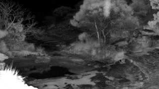 Still 1 from this detection