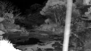 Still 1 from this detection