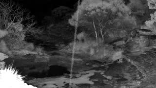 Still 2 from this detection
