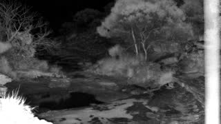 Still 1 from this detection