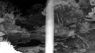 Still 2 from this detection