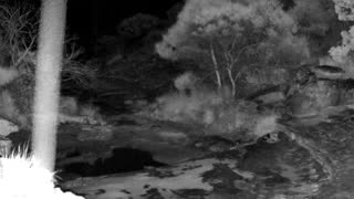 Still 2 from this detection