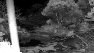 Still 3 from this detection