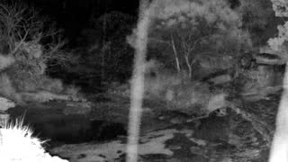 Still 2 from this detection