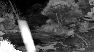 Still 3 from this detection