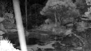 Still 2 from this detection