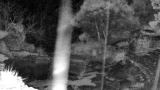Still 3 from this detection