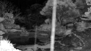 Still 3 from this detection