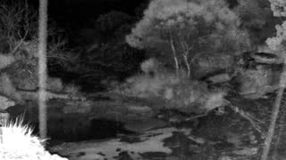 Still 1 from this detection