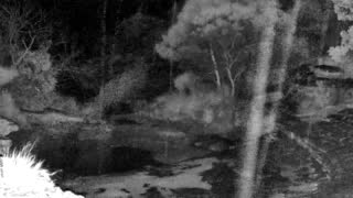 Still 2 from this detection