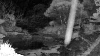 Still 3 from this detection