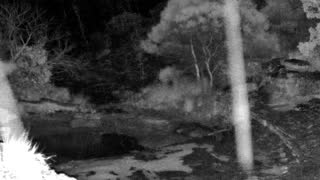Still 2 from this detection