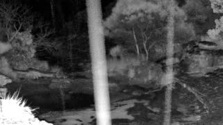 Still 1 from this detection