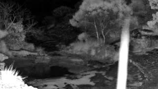 Still 1 from this detection