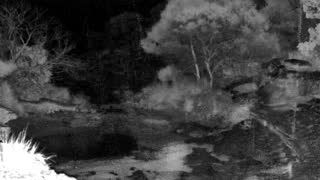 Still 2 from this detection
