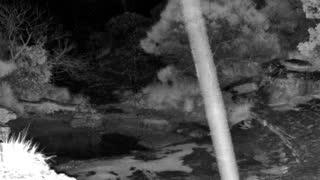 Still 2 from this detection