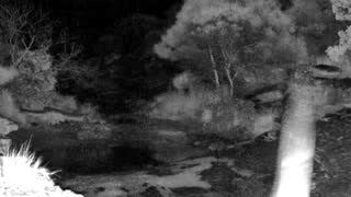 Still 2 from this detection