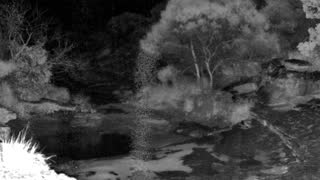 Still 3 from this detection
