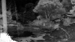 Still 3 from this detection