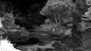 Still 1 from this detection