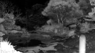 Still 1 from this detection