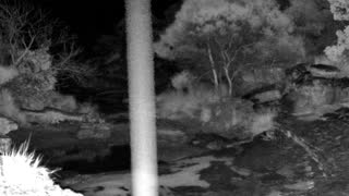 Still 1 from this detection