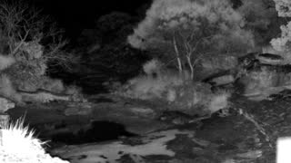 Still 1 from this detection