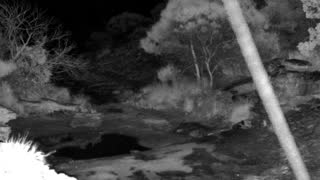 Still 2 from this detection