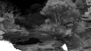 Still 1 from this detection