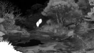 Still 3 from this detection