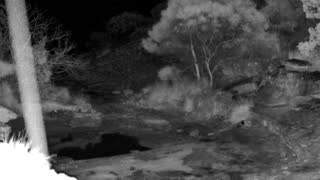 Still 2 from this detection