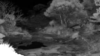 Still 3 from this detection