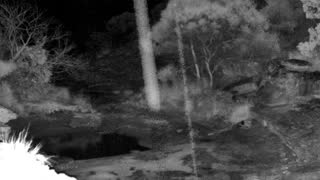 Still 1 from this detection