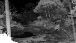 Still 1 from this detection