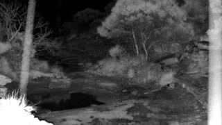 Still 3 from this detection