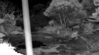 Still 1 from this detection