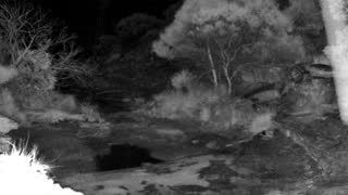Still 3 from this detection