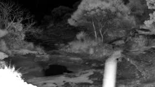 Still 2 from this detection