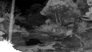 Still 2 from this detection