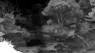 Still 3 from this detection