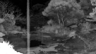 Still 3 from this detection