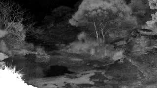 Still 2 from this detection