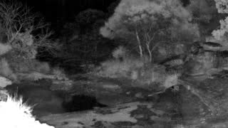 Still 3 from this detection