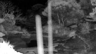 Still 1 from this detection